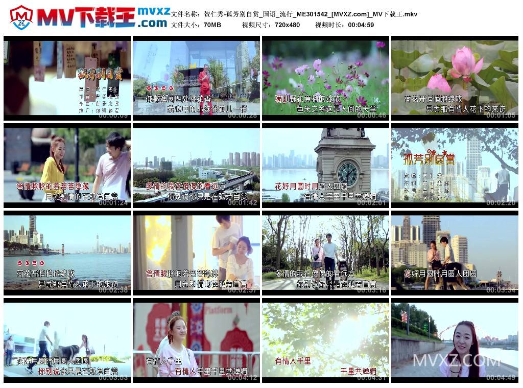 贺仁秀-孤芳别自赏_国语_流行_ME301542